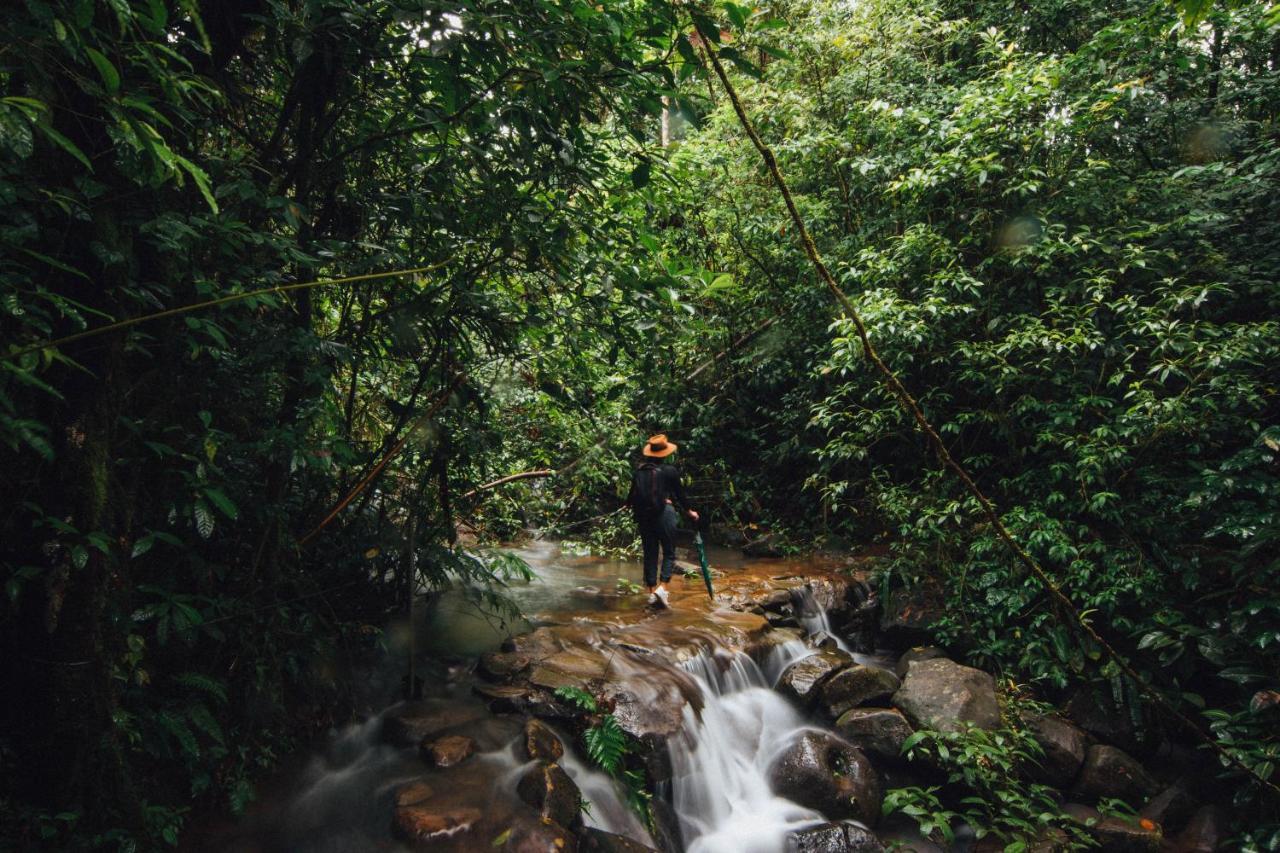 La Tigra Rainforest Lodge La Fortuna Luaran gambar