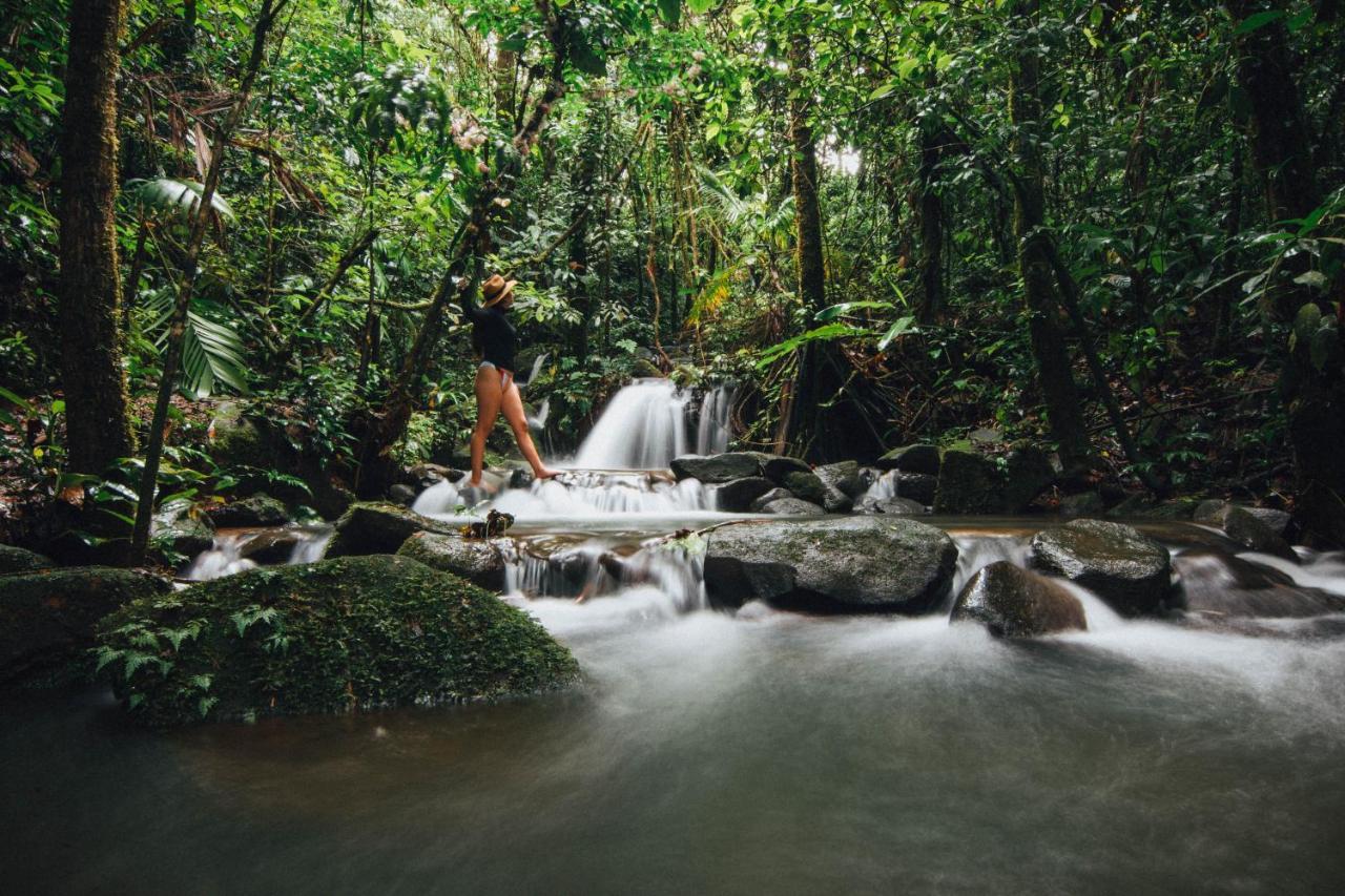La Tigra Rainforest Lodge La Fortuna Luaran gambar