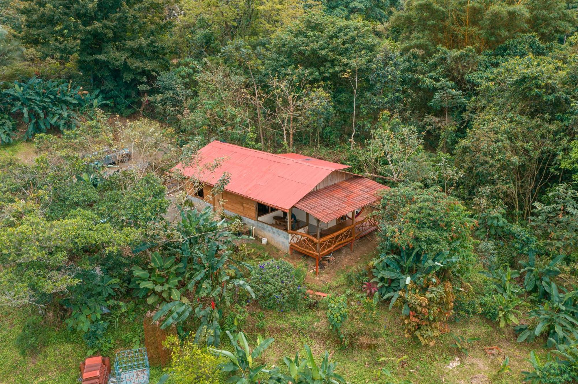 La Tigra Rainforest Lodge La Fortuna Luaran gambar