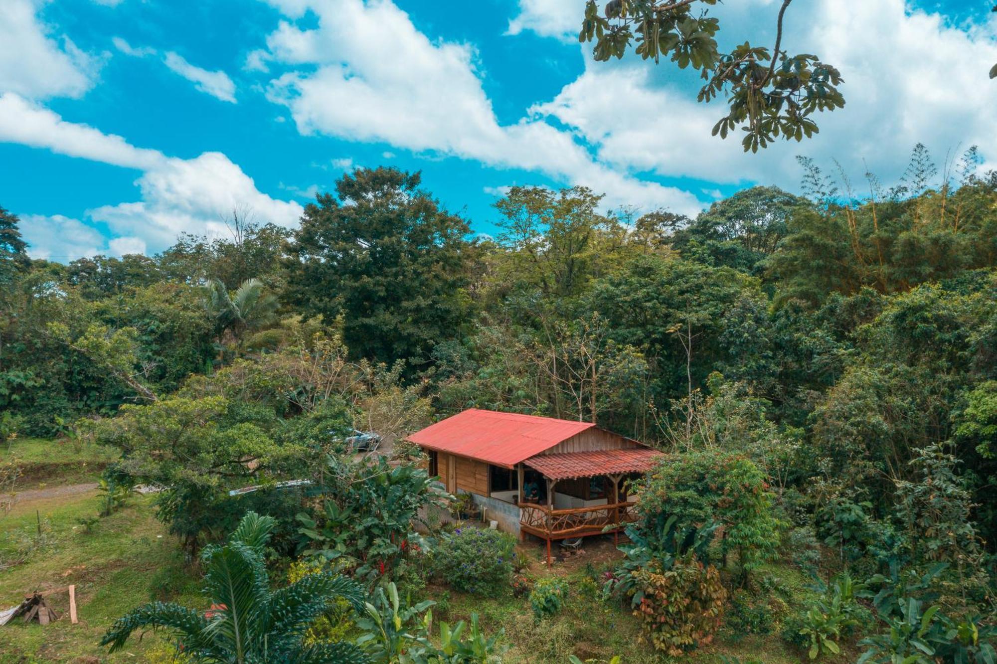 La Tigra Rainforest Lodge La Fortuna Luaran gambar