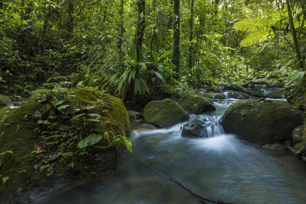 La Tigra Rainforest Lodge La Fortuna Luaran gambar