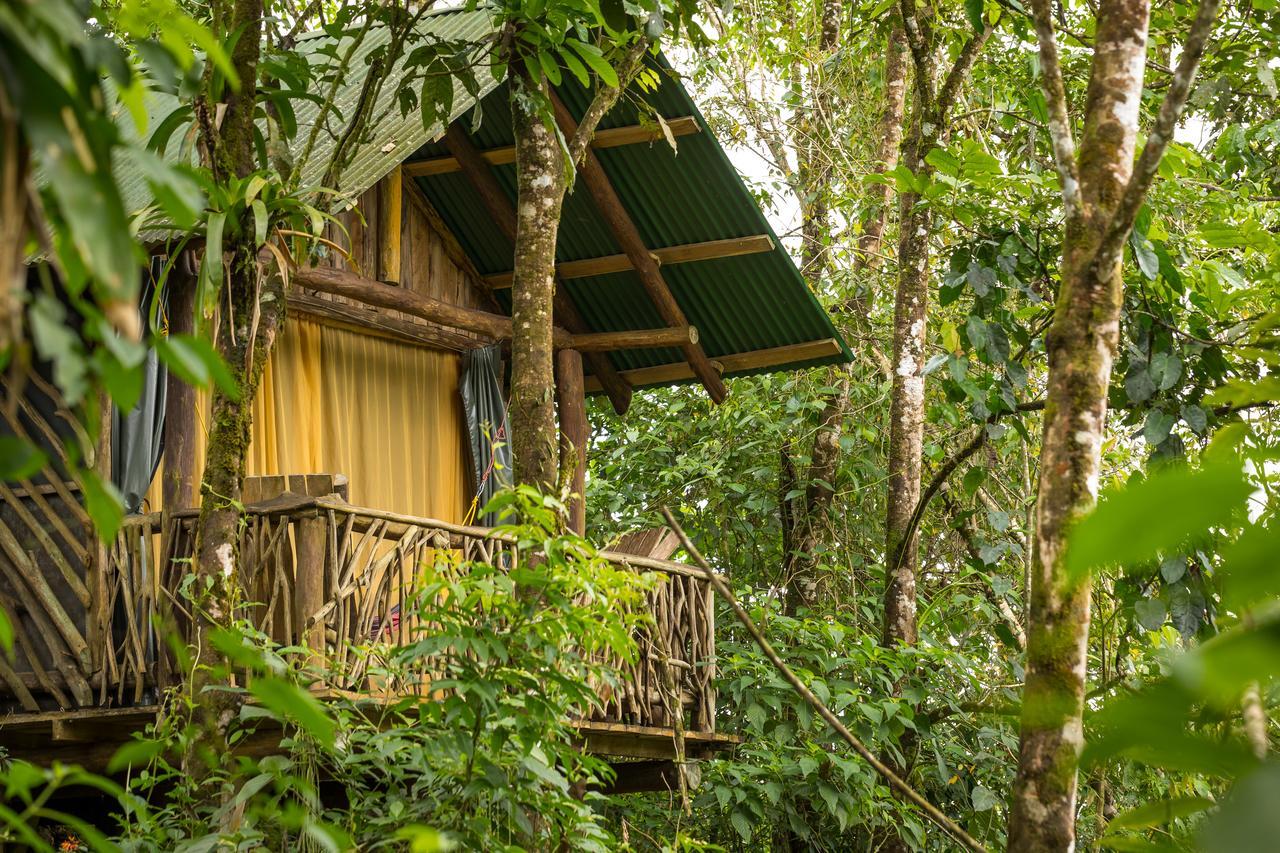 La Tigra Rainforest Lodge La Fortuna Luaran gambar